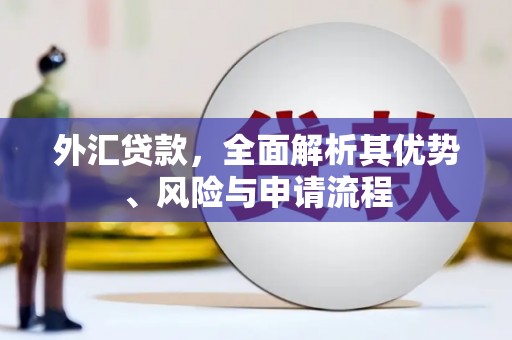 德化外汇贷款，全面解析其优势、风险与申请流程