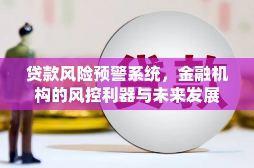 德化贷款风险预警系统，金融机构的风控利器与未来发展