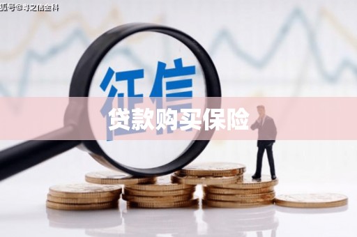 德化贷款购买保险