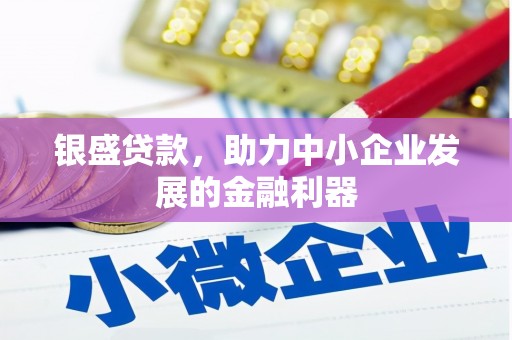 德化银盛贷款，助力中小企业发展的金融利器