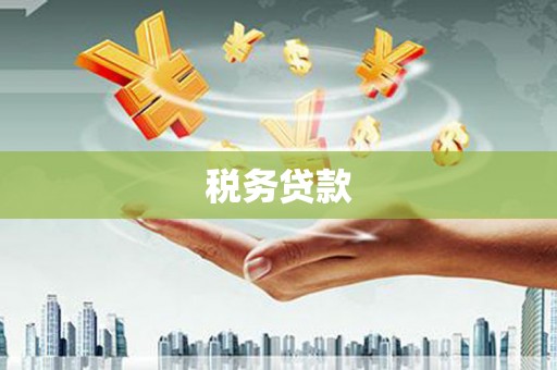德化税务贷款