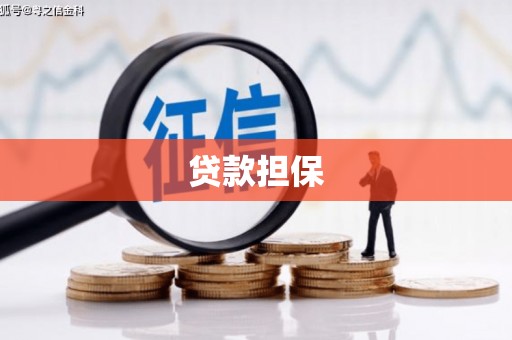 德化贷款担保