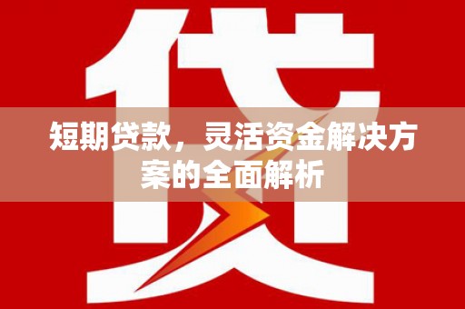 德化短期贷款，灵活资金解决方案的全面解析