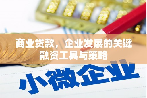 德化商业贷款，企业发展的关键融资工具与策略