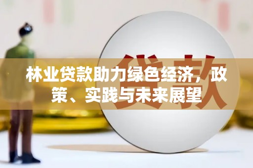 德化林业贷款助力绿色经济，政策、实践与未来展望