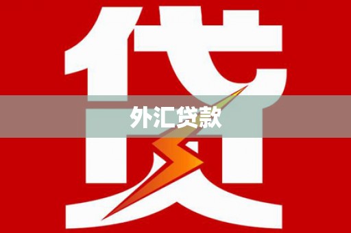 德化外汇贷款