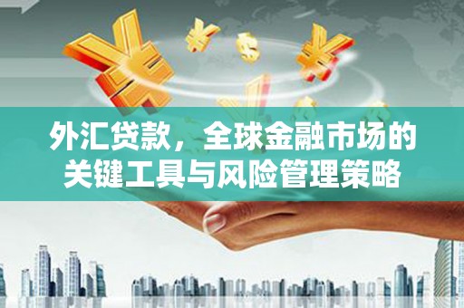 德化外汇贷款，全球金融市场的关键工具与风险管理策略