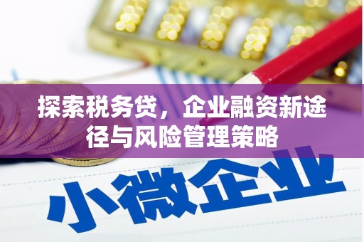 德化探索税务贷，企业融资新途径与风险管理策略