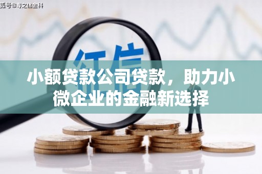 德化小额贷款公司贷款，助力小微企业的金融新选择
