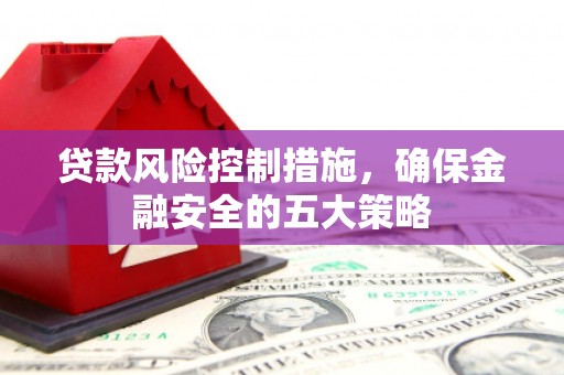 德化贷款风险控制措施，确保金融安全的五大策略