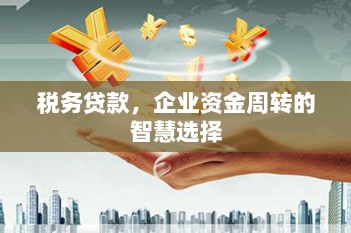 德化税务贷款，企业资金周转的智慧选择