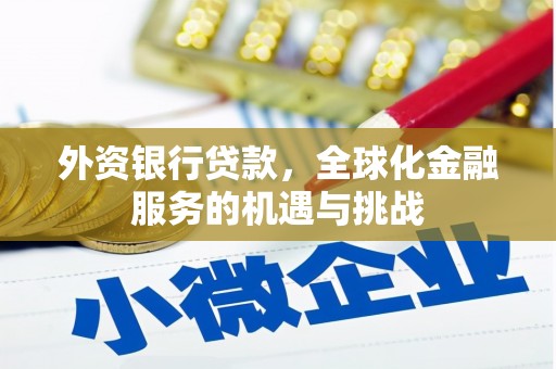 德化外资银行贷款，全球化金融服务的机遇与挑战