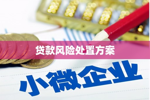 德化贷款风险处置方案