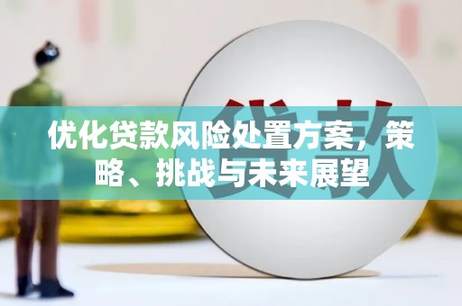 德化优化贷款风险处置方案，策略、挑战与未来展望