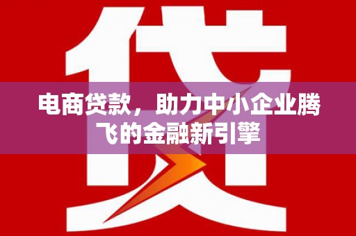 德化电商贷款，助力中小企业腾飞的金融新引擎