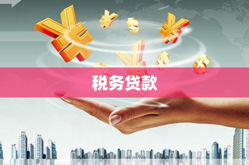 德化税务贷款