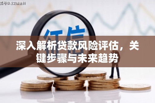 德化深入解析贷款风险评估，关键步骤与未来趋势