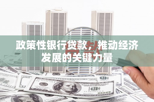 德化政策性银行贷款，推动经济发展的关键力量