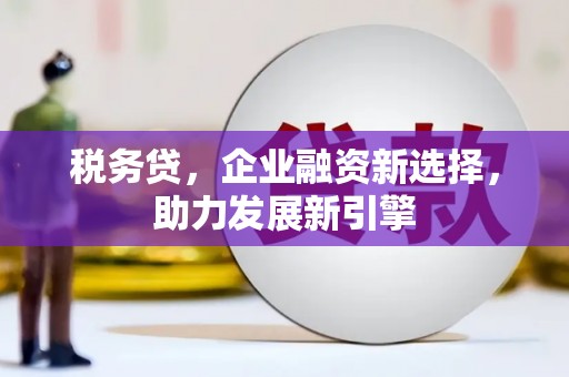 德化税务贷，企业融资新选择，助力发展新引擎