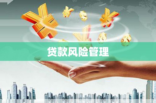 德化贷款风险管理