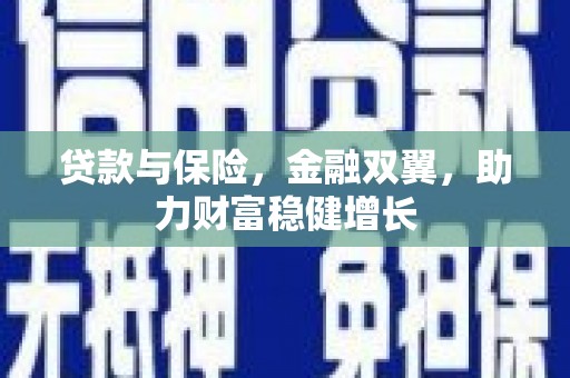 德化贷款与保险，金融双翼，助力财富稳健增长