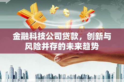 德化金融科技公司贷款，创新与风险并存的未来趋势