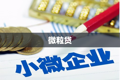 德化微粒贷