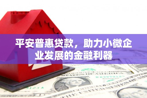 德化平安普惠贷款，助力小微企业发展的金融利器