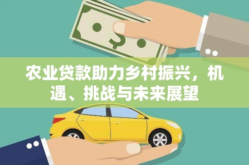 德化农业贷款助力乡村振兴，机遇、挑战与未来展望