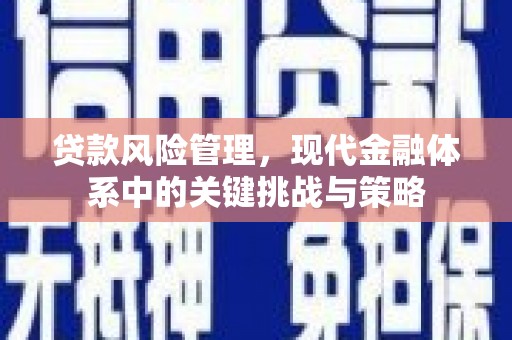 德化贷款风险管理，现代金融体系中的关键挑战与策略