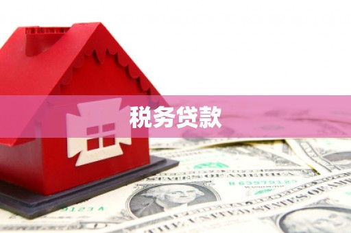 德化税务贷款