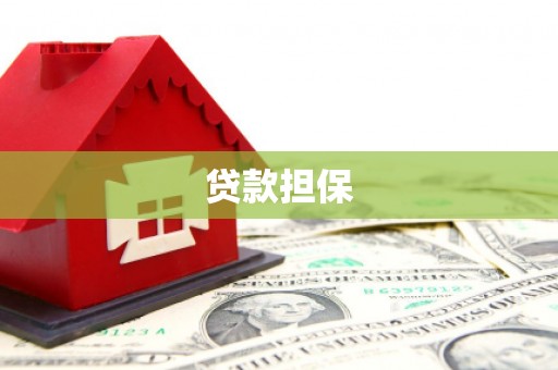 德化贷款担保