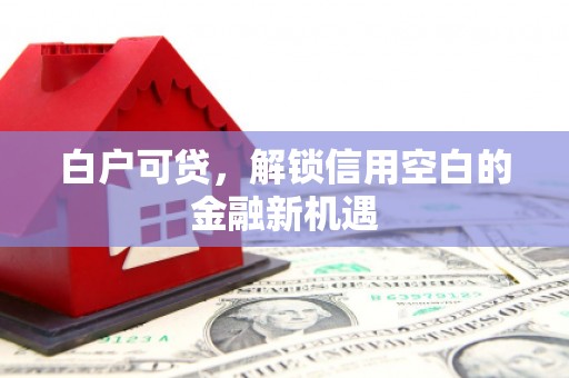 德化白户可贷，解锁信用空白的金融新机遇