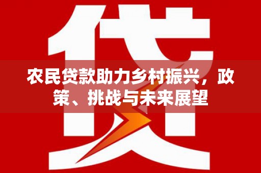 德化农民贷款助力乡村振兴，政策、挑战与未来展望