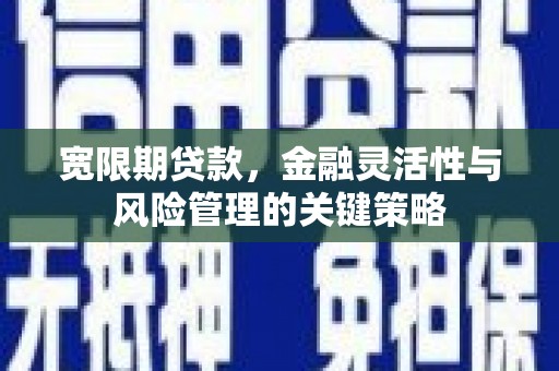 德化宽限期贷款，金融灵活性与风险管理的关键策略