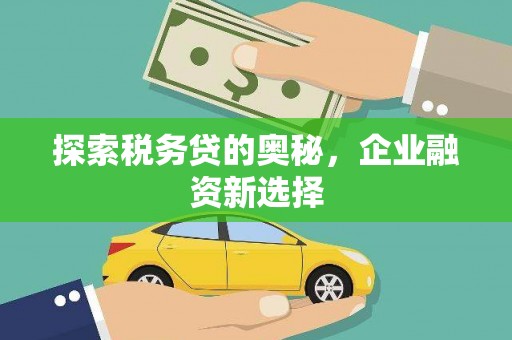 德化探索税务贷的奥秘，企业融资新选择
