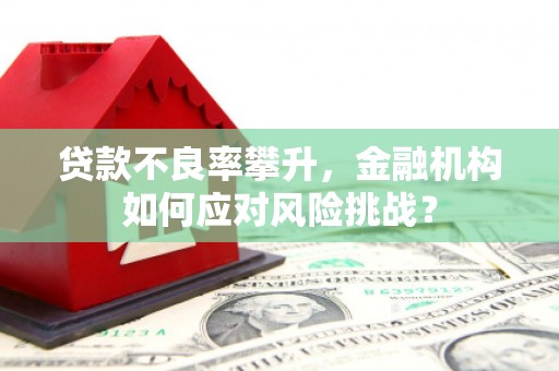 德化贷款不良率攀升，金融机构如何应对风险挑战？