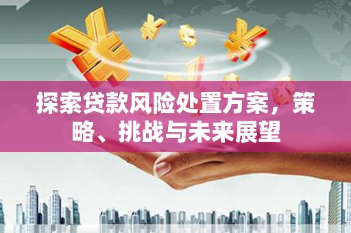 德化探索贷款风险处置方案，策略、挑战与未来展望