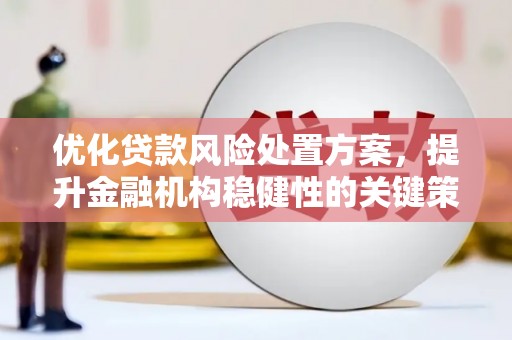 德化优化贷款风险处置方案，提升金融机构稳健性的关键策略