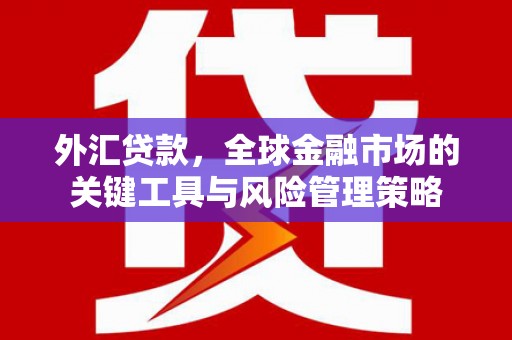 德化外汇贷款，全球金融市场的关键工具与风险管理策略