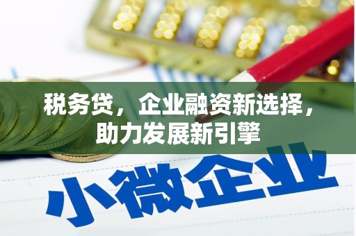 德化税务贷，企业融资新选择，助力发展新引擎