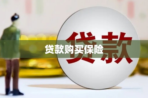 德化贷款购买保险