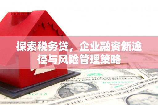 德化探索税务贷，企业融资新途径与风险管理策略