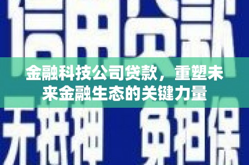 德化金融科技公司贷款，重塑未来金融生态的关键力量