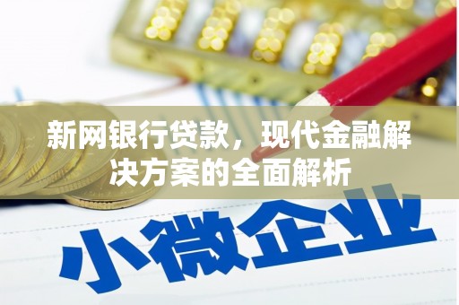 德化新网银行贷款，现代金融解决方案的全面解析