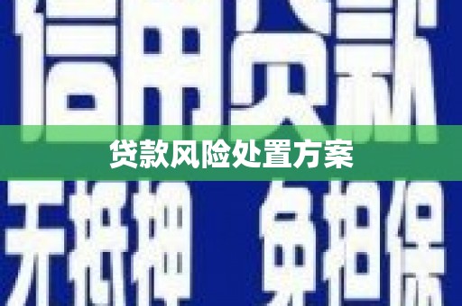 德化贷款风险处置方案