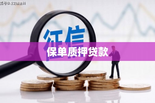 德化保单质押贷款