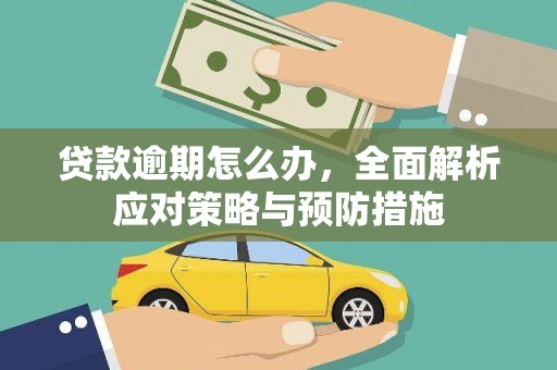 德化贷款逾期怎么办，全面解析应对策略与预防措施