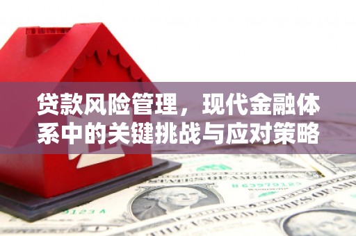 德化贷款风险管理，现代金融体系中的关键挑战与应对策略