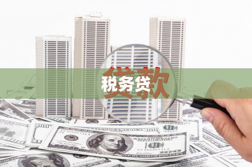 德化税务贷